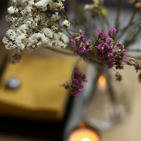 Slone & Beer Lejlighedshotel